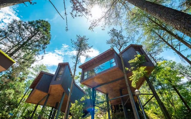 建在森林裡的空中樹屋，漫步山間尋趣！