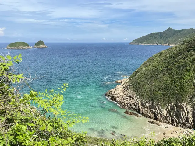 There is a beauty called the MacLehose Trail blue