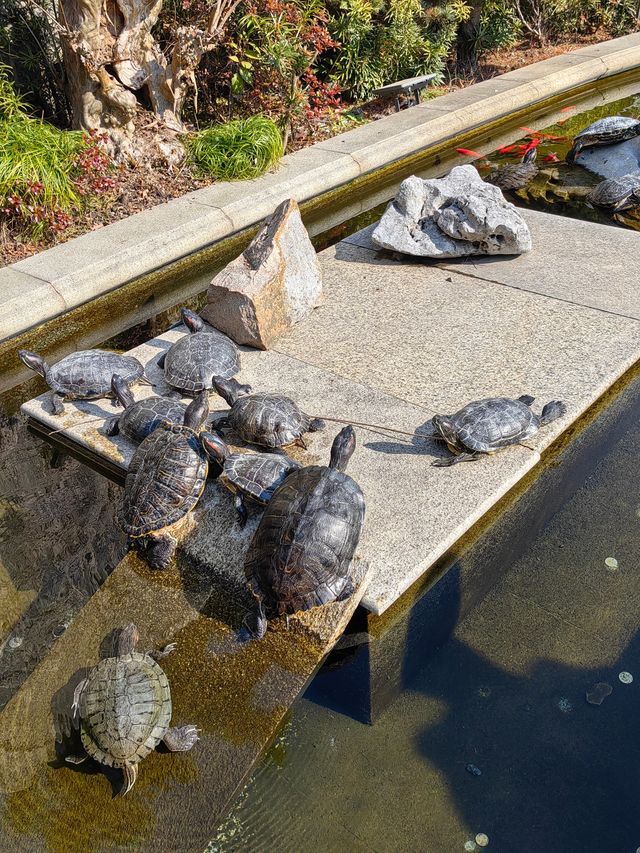江蘇省海安高級中學