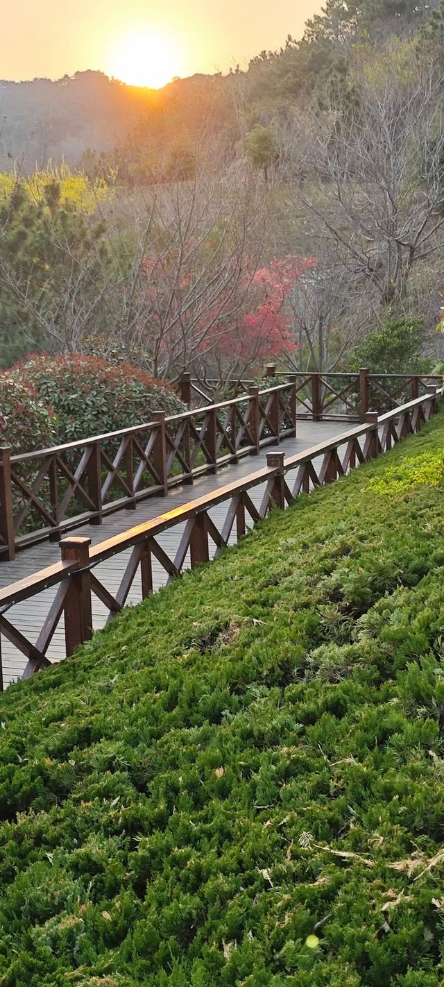 浮山公園越來越美咯