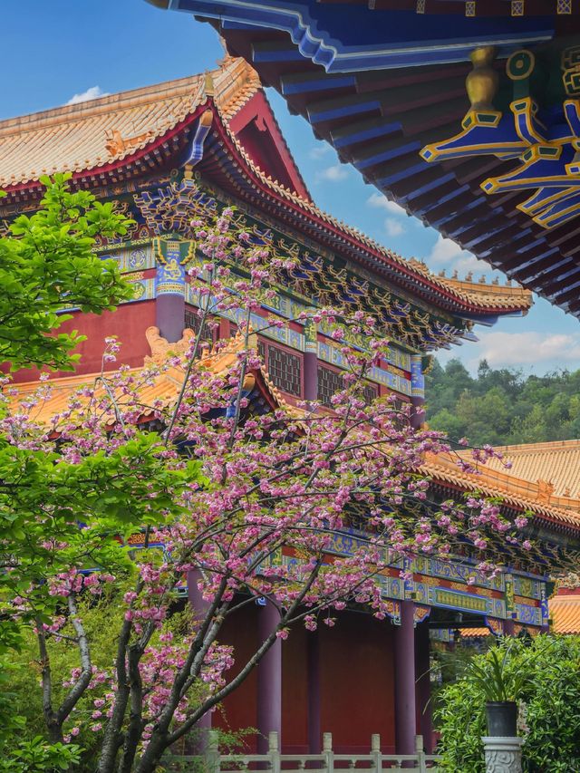 春天一定不能錯過的美景