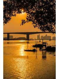 廣州春季露營·公園賞日落，感受人間皆是浪漫
