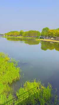 魔都西區的都市森林遠香湖公園