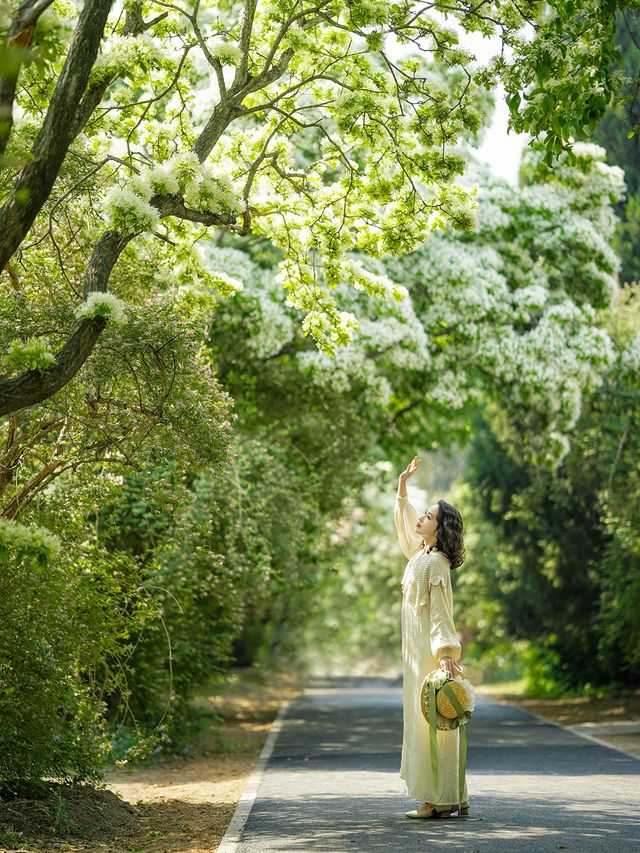 京城花海天花板國家植物園流蘇賞花攻略