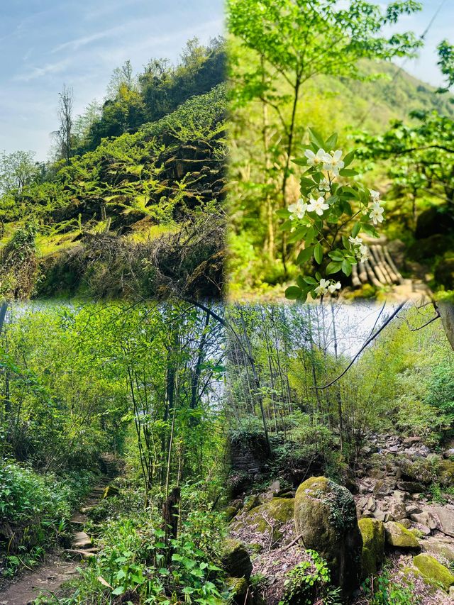 彭州葛仙山下的6公里野趣徒步之旅