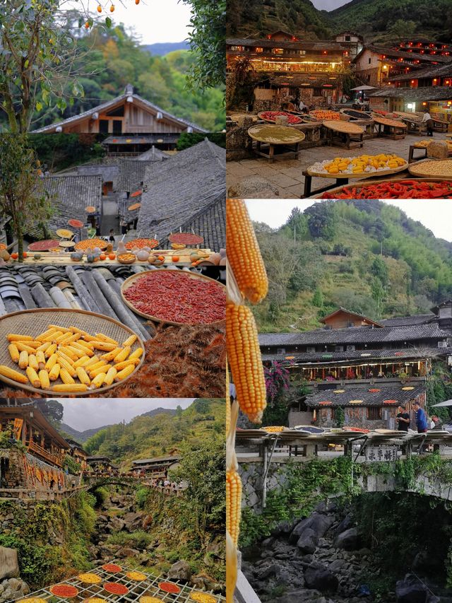 溫州“小婺源”｜山林間炊煙裊裊、小橋流水人家