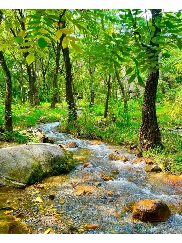 免費神仙露營北京22個玩水露營好去處