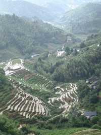 【江西美景】在上堡梯田感受最美田園