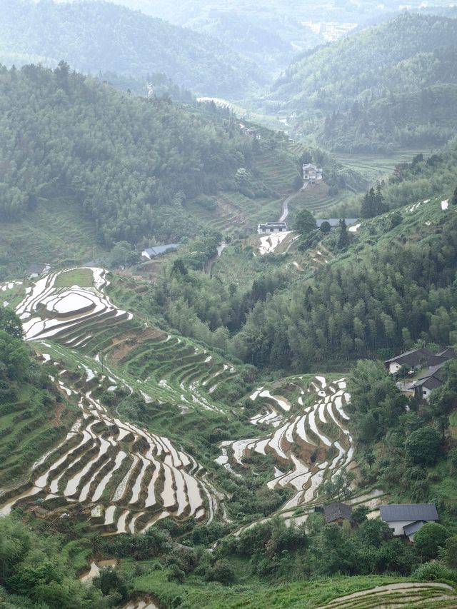 【江西美景】在上堡梯田感受最美田園