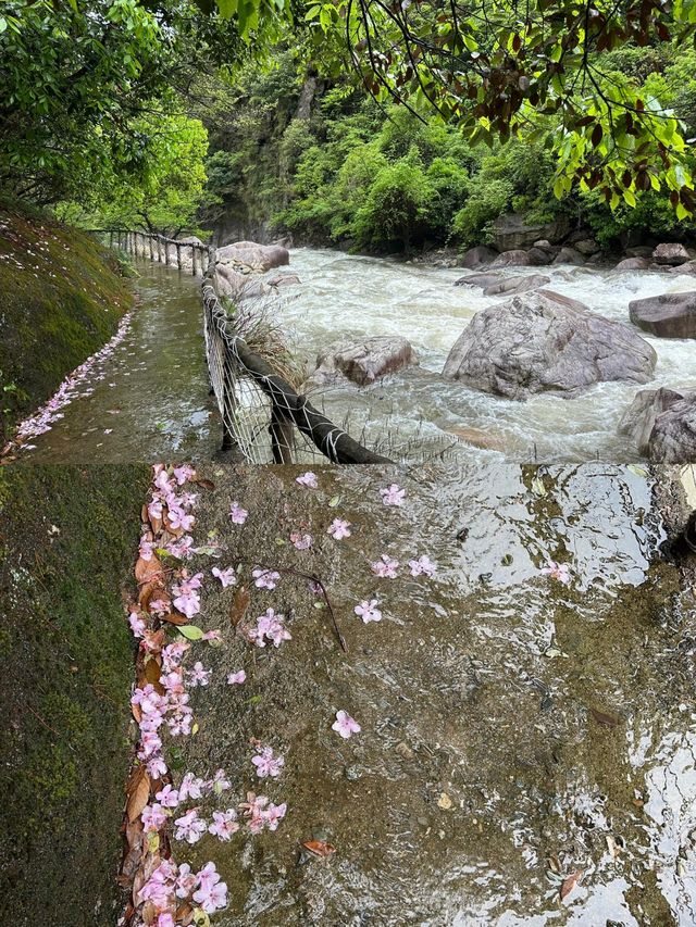 皖南鄣山大峡谷周邊遊首選