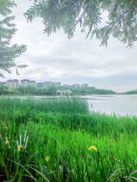 寧波日湖公園，亮點紛呈，值得一去再去
