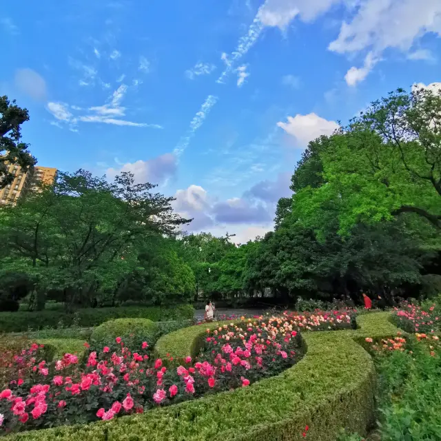 🌺 Exploring the Beauty of Fuxing Park in May 🌿