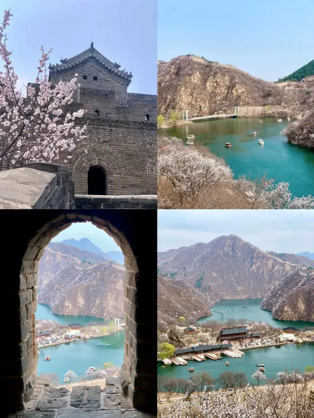 Spring Limited Edition: A Stroll Along the Water Great Wall | An Appointment with Ten Miles of Peach Blossoms