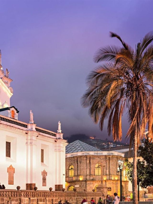 🌟 Quito's Cozy Corner: Dann Carlton Hotel 🌟
