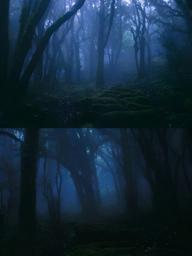哀牢山