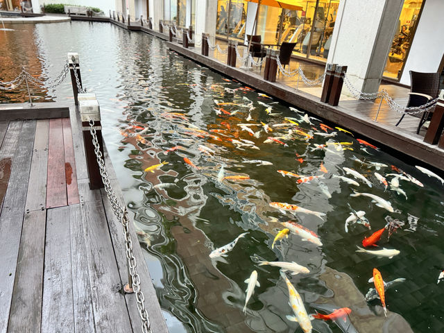 深圳華僑城洲際大酒店池景單臥套：徜徉加勒比