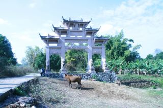 Once upon a time in Yangmei Town