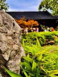 樂遊蘇州留園漫步記
