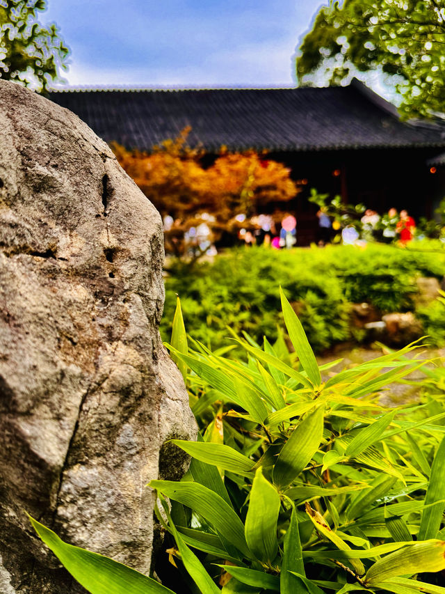 樂遊蘇州留園漫步記