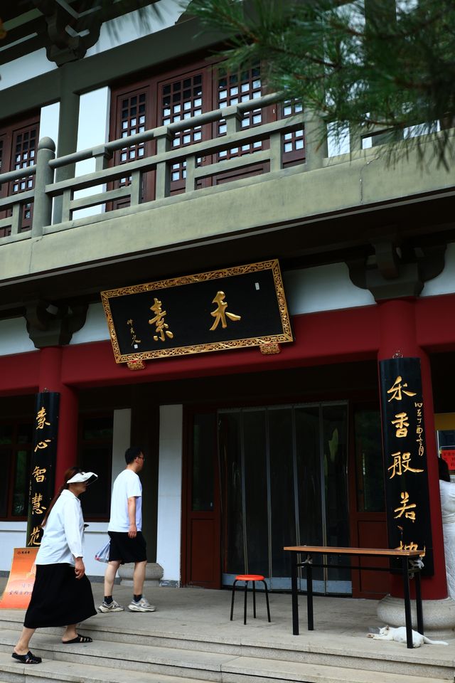 廊坊｜隆福寺——免費齋飯、舍粥