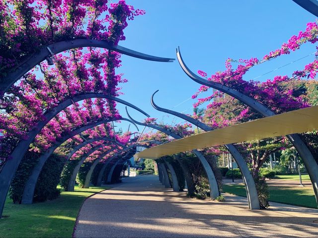 Australia🇦🇺 South Coast Park