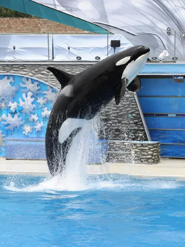 🌟 San Diego's Top Family-Friendly Attractions Unveiled 🌴👨👩👧👦