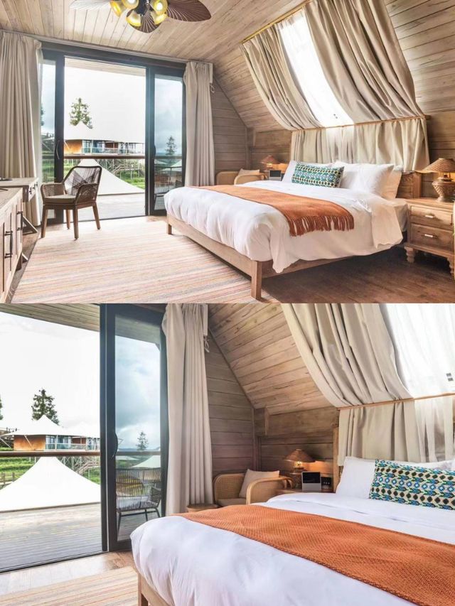 茶香肆意!在雲南普洱,住進雲端仙境裡 茶香肆意!在雲南普洱,住進雲端仙境裡