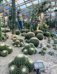 秋日悠閒探園：太原植物園佛系漫遊指南