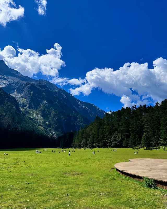 雲杉坪打卡隱藏在玉龍雪山的巨大草坪