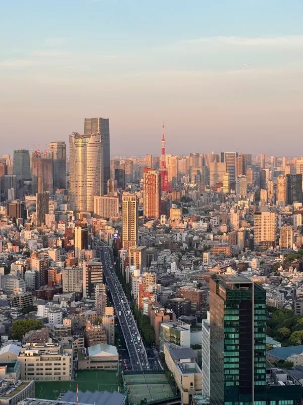 🇯🇵｜東京5日精華版攻略！附美食+路線🗼