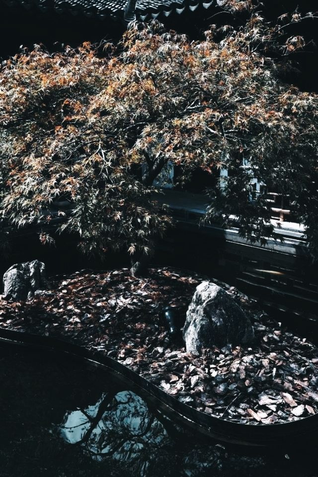 推薦景點打卡：川沙古鎮。
