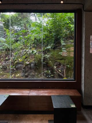 東莞 | 充滿放鬆感的虎門森系咖啡店。