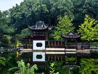 蛻變——和平公園。