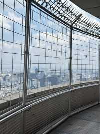 A Birds Eye view of Bangkok, a sprawling metropolis 