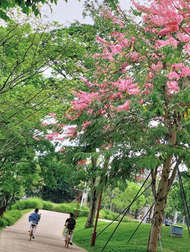 深圳｜隱匿於繁華都市的心靈綠洲，徒步騎行的絕佳勝地。