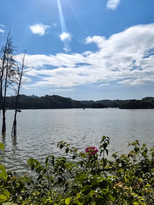 惠州。