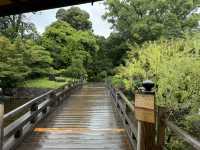 雨中漫步德川園：日本名古屋的靜謐之美 