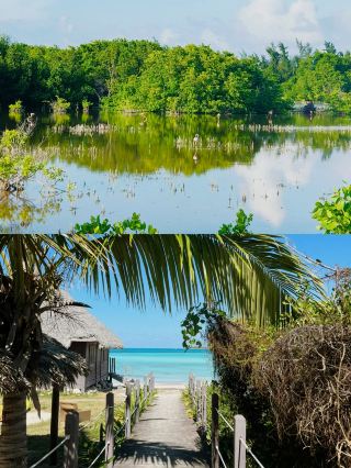 The Island of Dreams - Cayo Coco, Cuba.