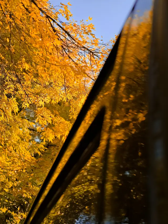 Beijing is beautiful in late autumn. 