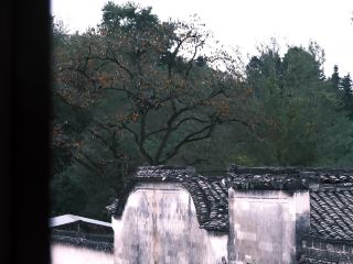 Huangshan | Yilin Meiju Ningxin Hall | A different kind of rural life.