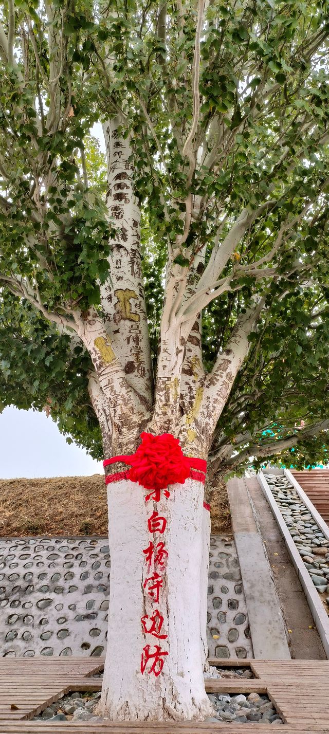 青藏疆甘大環線自駕53日。