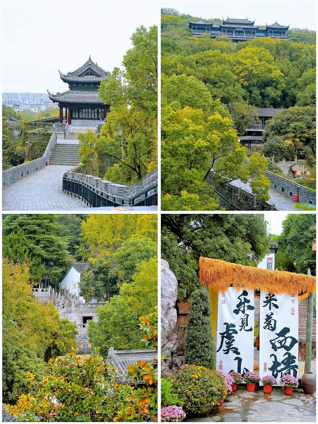 常熟不宣傳這個賞秋寶藏地你糊塗啊。