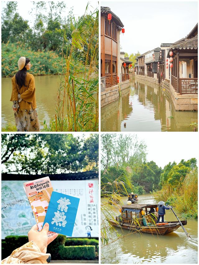 常熟不宣傳這個賞秋寶藏地你糊塗啊。
