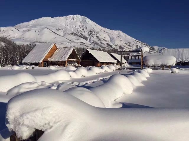 冬日旅行 ｜ 粉雪 新疆。