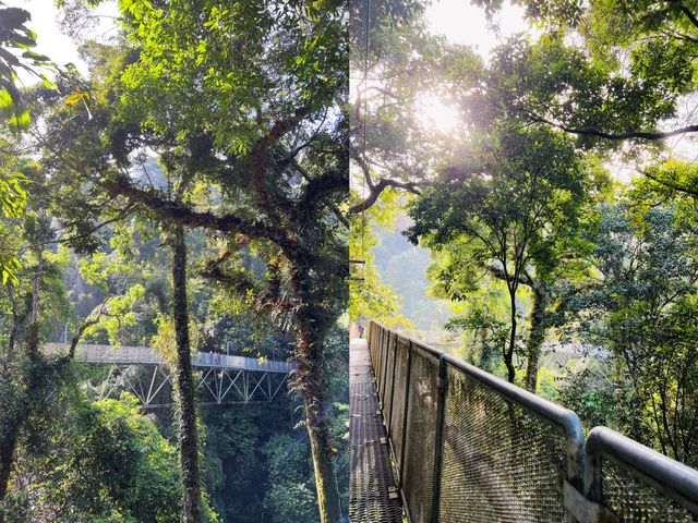 小伙伴們，快來圍觀我的居林旅遊攻略啦！