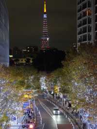 Roppongi Christmas Illuminations in Japan