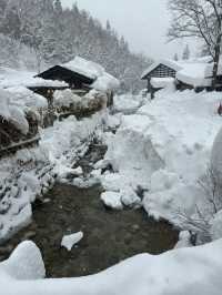 Experience the Enchanting Snowy Wonderland of Japan