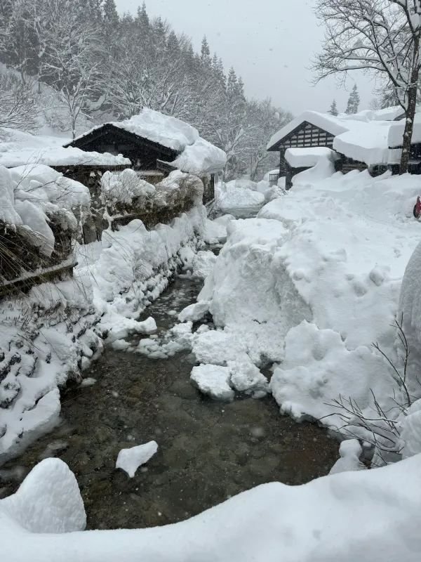 Experience the Enchanting Snowy Wonderland of Japan