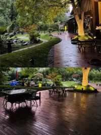 魔都遛娃上海鬧中取靜的私湯酒店。