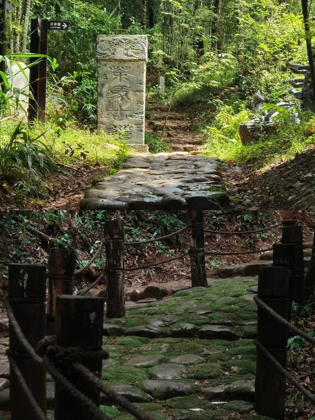 穿越茶馬古道踏入千年之旅。